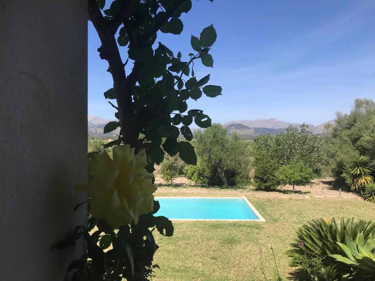 Florida Luxury With Huge Pool Pollença